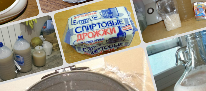 спиртовые дрожжи