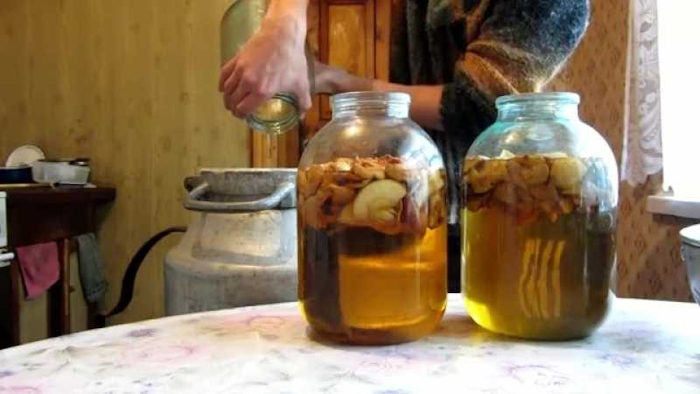  Брага из яблок для самогона