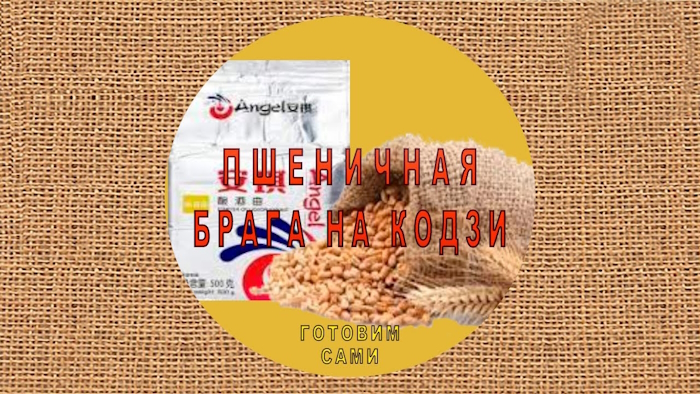 Выход с пшеничной браги на Кодзи