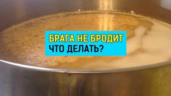 Недобродила сахарная Брага