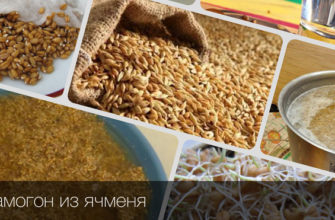 Самогон из ячменя